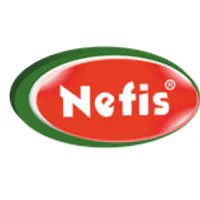 Nefis